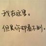 天鹅套索